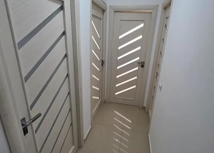 Scp 4 * Bucharest